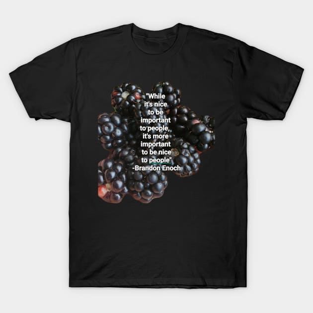 Important To Be Nice T-Shirt by RedBadgeofInsight